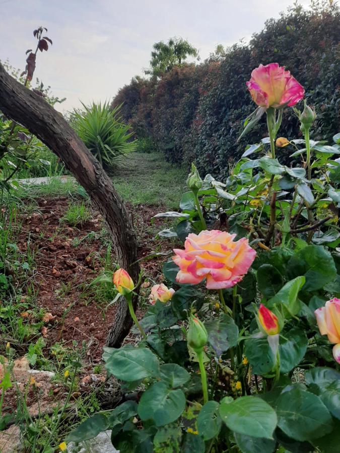 Villa Bellocchio ロコロトンド エクステリア 写真