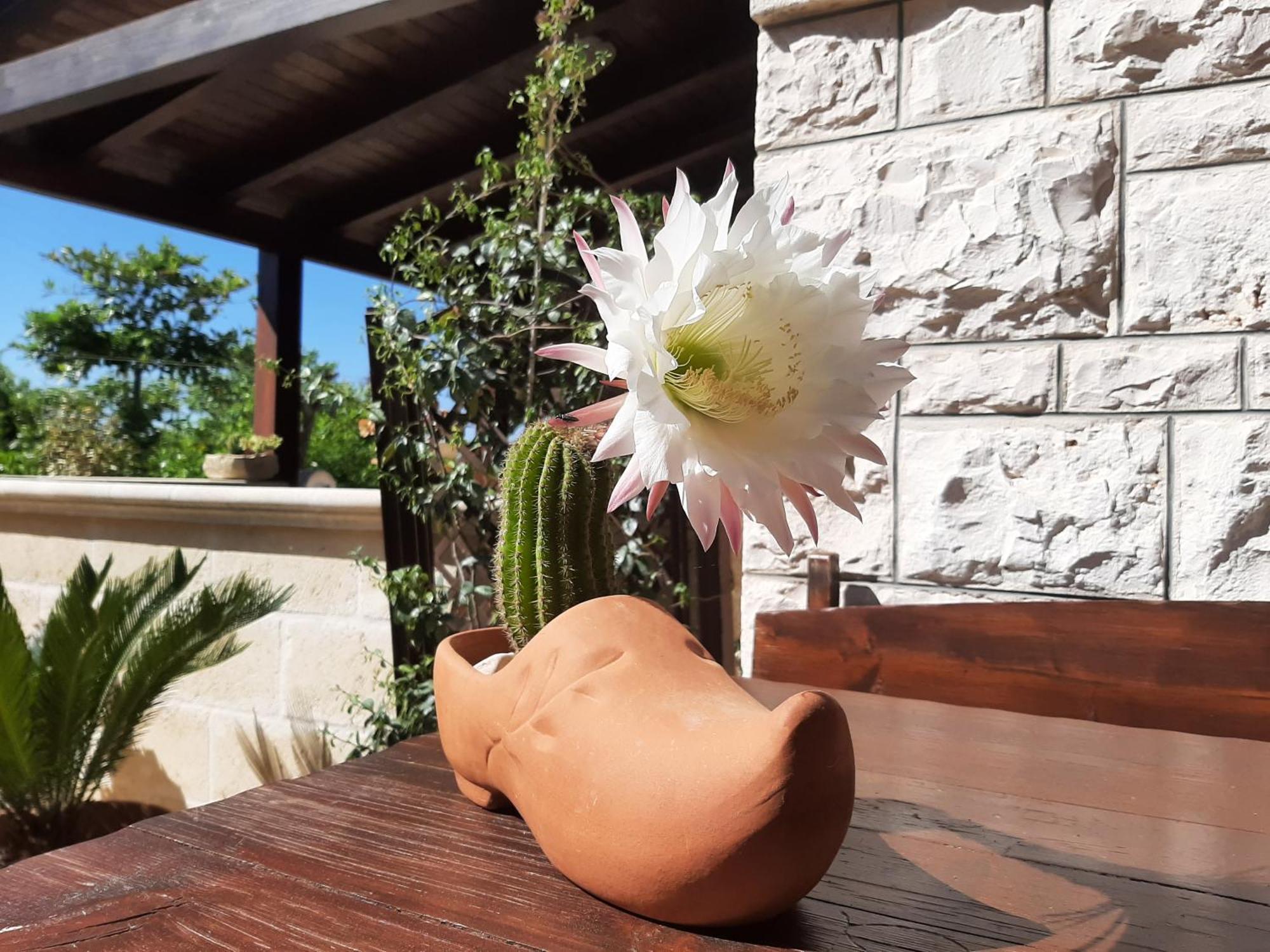 Villa Bellocchio ロコロトンド エクステリア 写真